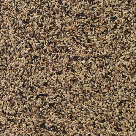 Deli Nature Oiseaux Indigènes 20kg (91) 3 Deli Nature Oiseaux Indigènes 20kg (91) - Image 2