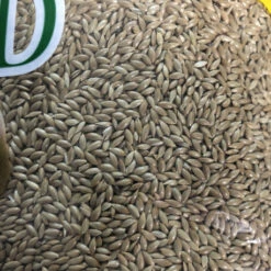 Alpiste 20kg - Manitoba 5 Alpiste 20kg - Manitoba -Bird Supply Shop alpiste 20kg manitoba 1