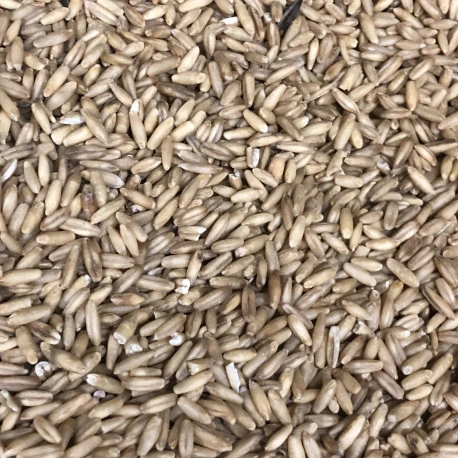 Avoine Pelée 25kg - Beyers 4 Avoine Pelée 25kg - Beyers - Image 2