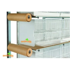 Batterie D'élevage 12 Cages - 60x31x35cm 8 Batterie D'élevage 12 Cages - 60x31x35cm -Bird Supply Shop batterie d elevage 12 cages 60x31x35cm 1 2