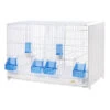 Cage D'élevage Pliable 58x30x39h Cm -Bird Supply Shop cage d elevage pliable 58x30x39h cm