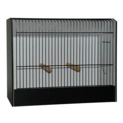 Cage D'exposition Grande Perruche
