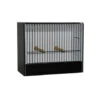 Cage D'exposition Petite Perruche -Bird Supply Shop cage expo en pvc perruche ondulee devanture noire