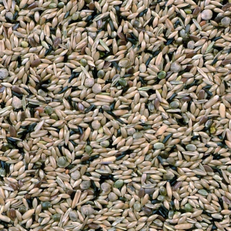 Canaris De Posture Duvo 20Kg 4 Canaris De Posture Duvo 20Kg - Image 2