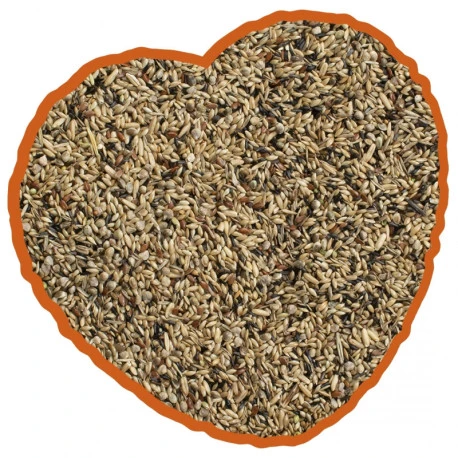 Canaris De Posture Duvo 20Kg 6 Canaris De Posture Duvo 20Kg - Image 4