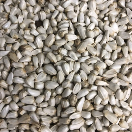 Cardi Extra 15 Kg - Deli Nature 3 Cardi Extra 15 Kg - Deli Nature