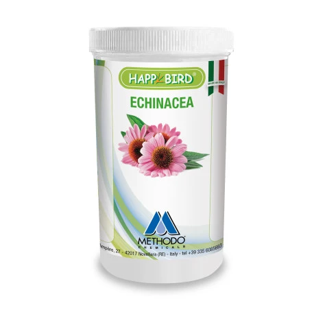 Echinacea 100g - (Antibiotique Naturel - Maladies Respiratoires) 3 Echinacea 100g - (Antibiotique Naturel - Maladies Respiratoires)