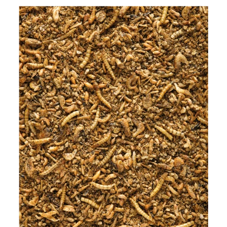 VERSELE-LAGA Insect Patee Premium 500g - Aliment Complet Pour Tous Les Insectivores 4 VERSELE-LAGA Insect Patee Premium 500g - Aliment Complet Pour Tous Les Insectivores - Image 2