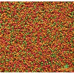 VERSELE-LAGA Nutribird B14 3kg -Bird Supply Shop nutribird b14 800gr 1