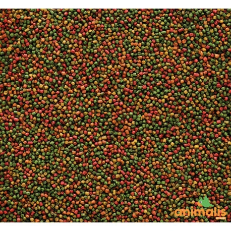 VERSELE-LAGA Nutribird C15 3kg - Aliment D'entretien Pour Canaris, Oiseaux Exotiques Et Indigènes 4 VERSELE-LAGA Nutribird C15 3kg - Aliment D'entretien Pour Canaris, Oiseaux Exotiques Et Indigènes - Image 2