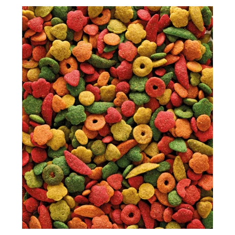 VERSELE-LAGA Nutribird P15 Tropical 3kg - Granulés Extrudés - Aliment D'entretien Pour Perroquets 4 VERSELE-LAGA Nutribird P15 Tropical 3kg - Granulés Extrudés - Aliment D'entretien Pour Perroquets - Image 2