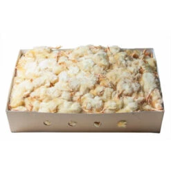 Poussins Congelés D'un Jour 10kg