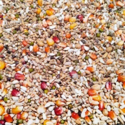 Sport Ultra Pro Revolution 20kg - Numéro 53 - Vanrobaeys