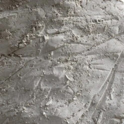 Terre De Diatomée Comestible 10kg -Bird Supply Shop terre de diatomee 1kg 1 1